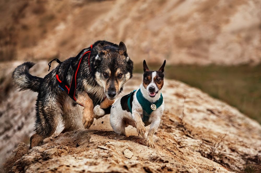 Photograph by Татьяна Степанова