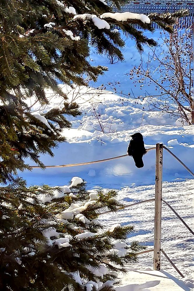 Photograph by Вероника