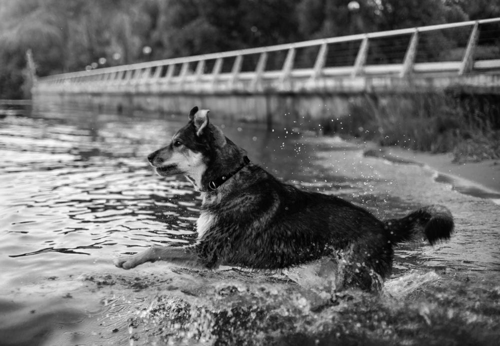 Photograph by Татьяна Степанова