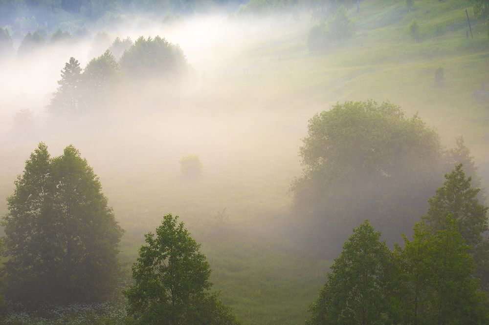 Туманный рассвет