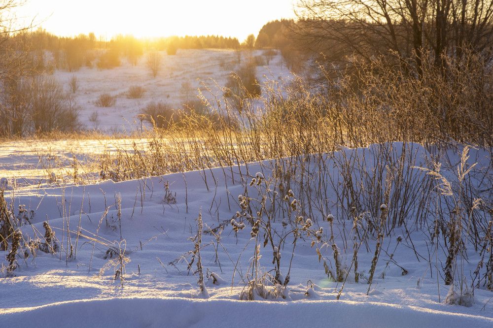 Photograph by Алена Морозова