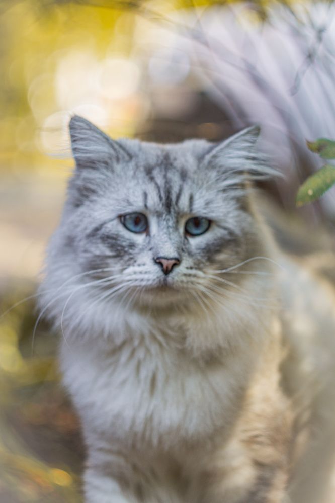 Photograph by Андрей Косяк