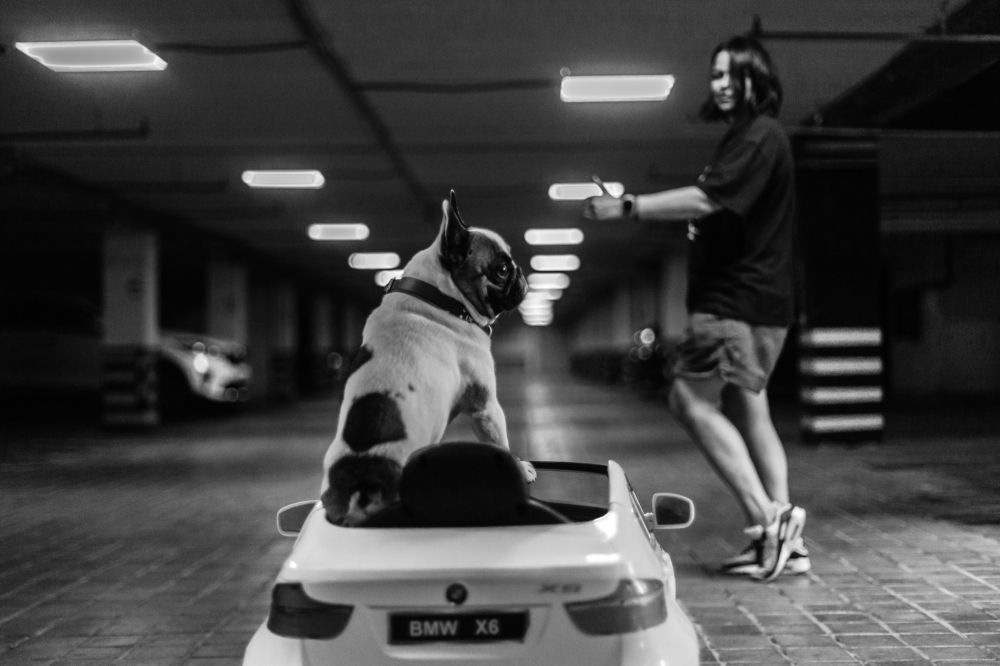 Photograph by Татьяна Степанова