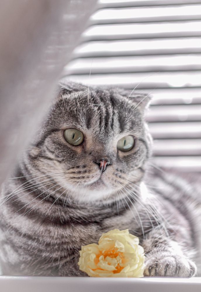 Photograph by Андрей Косяк