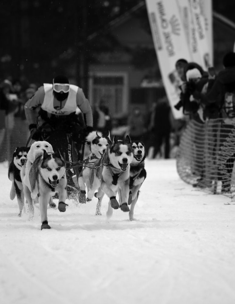 Photograph by Унку Юрий