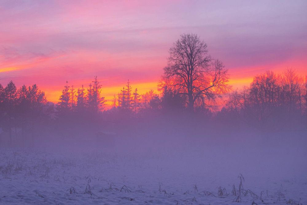 Фотография автора Aлексей Игнатьев