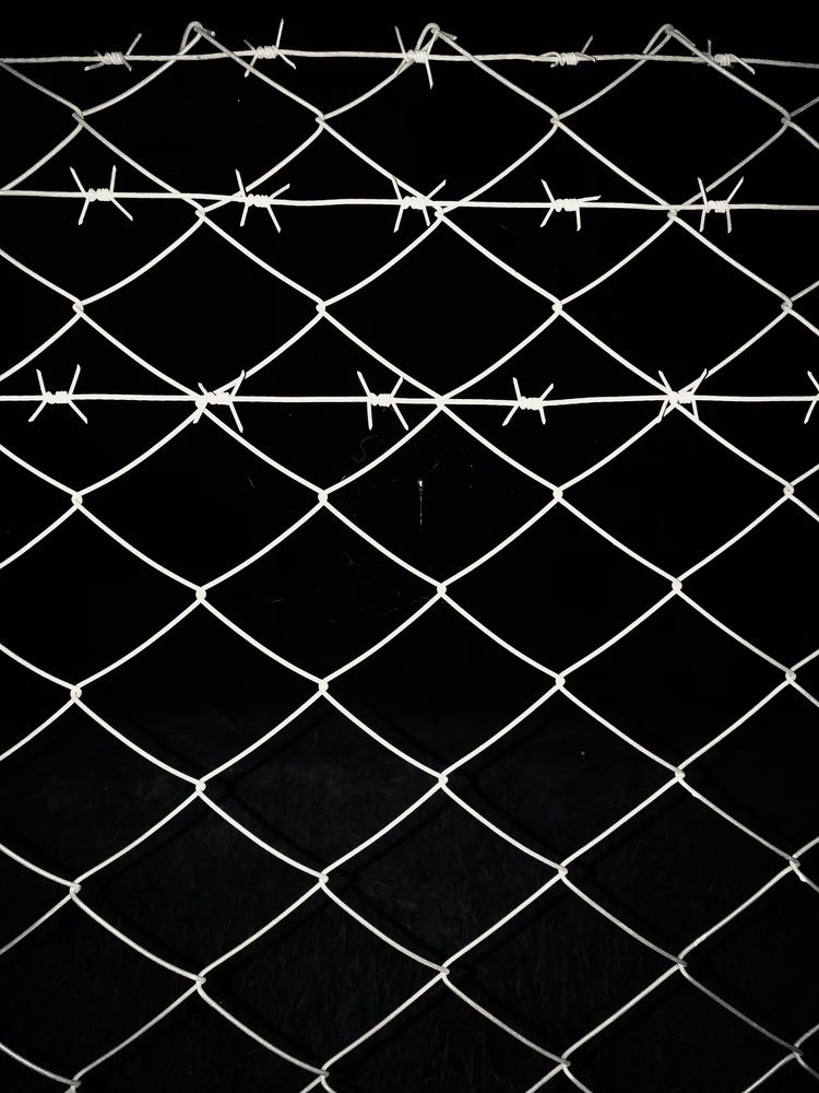 Photograph by Наталья Перерва