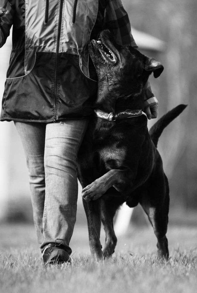 Photograph by Алиса Пономаренко