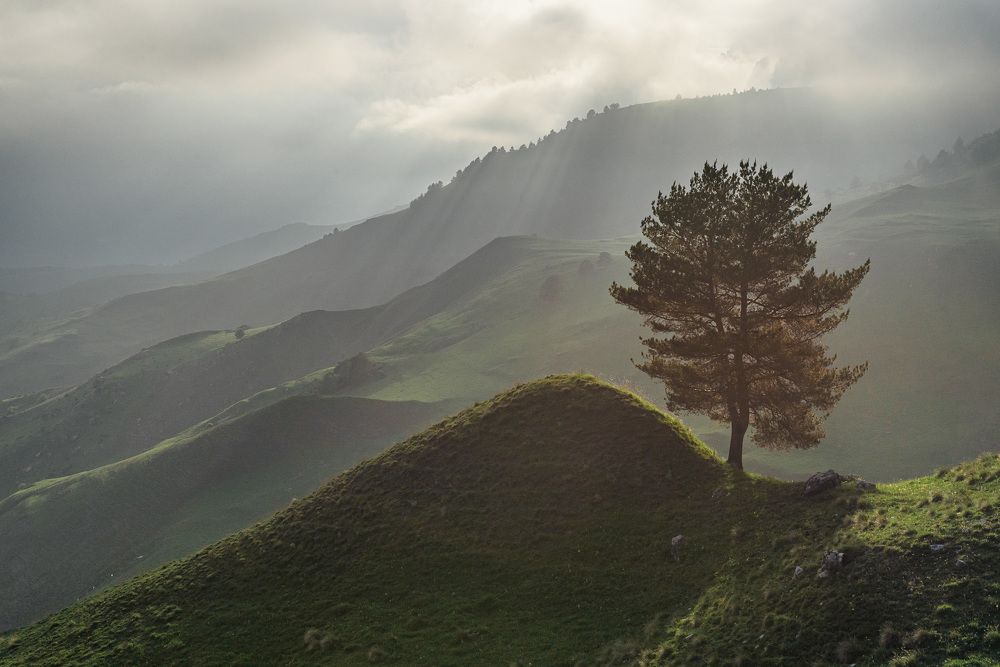 Photograph by Леонид Синев