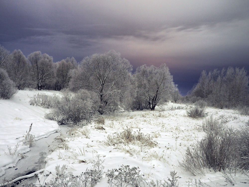 Photograph by Надежда Васильева
