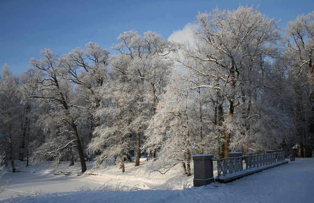 Photograph by Унку Юрий