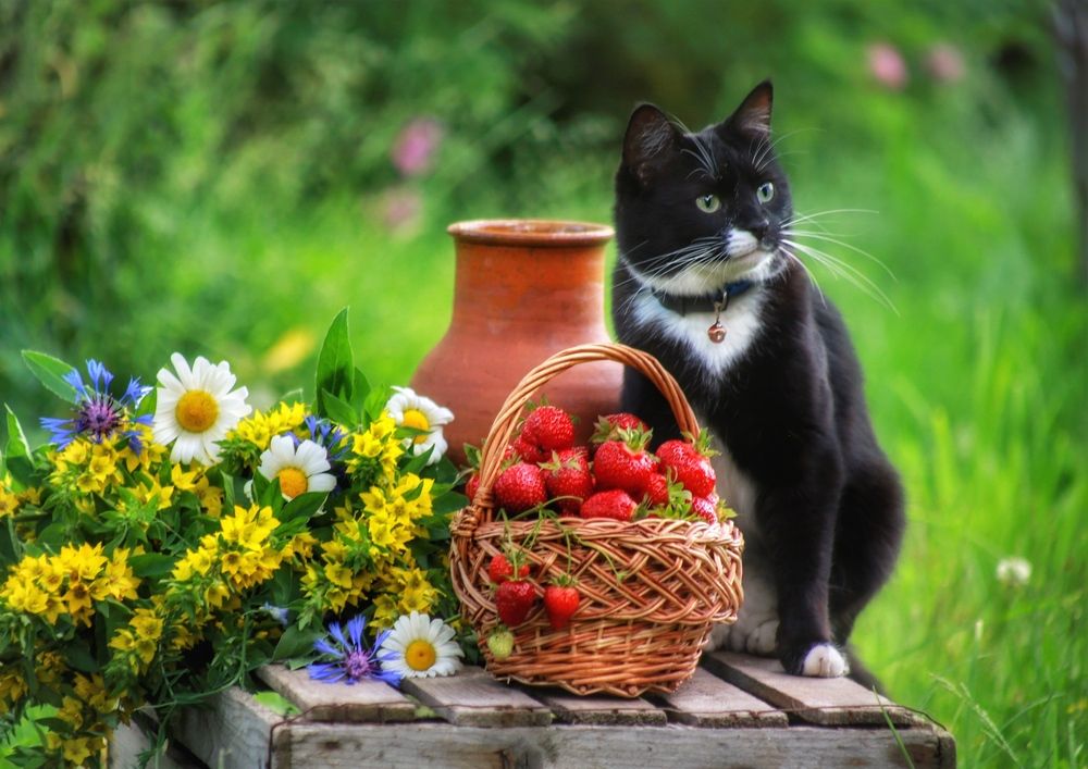 Фотография автора Евгения Иванова