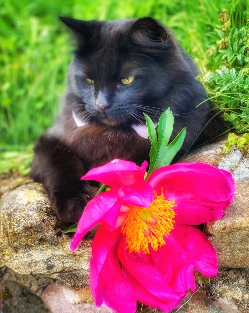 Фотография автора Евгения Иванова