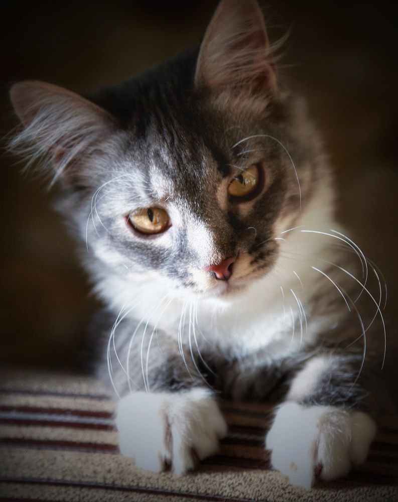 Фотография автора Евгения Иванова