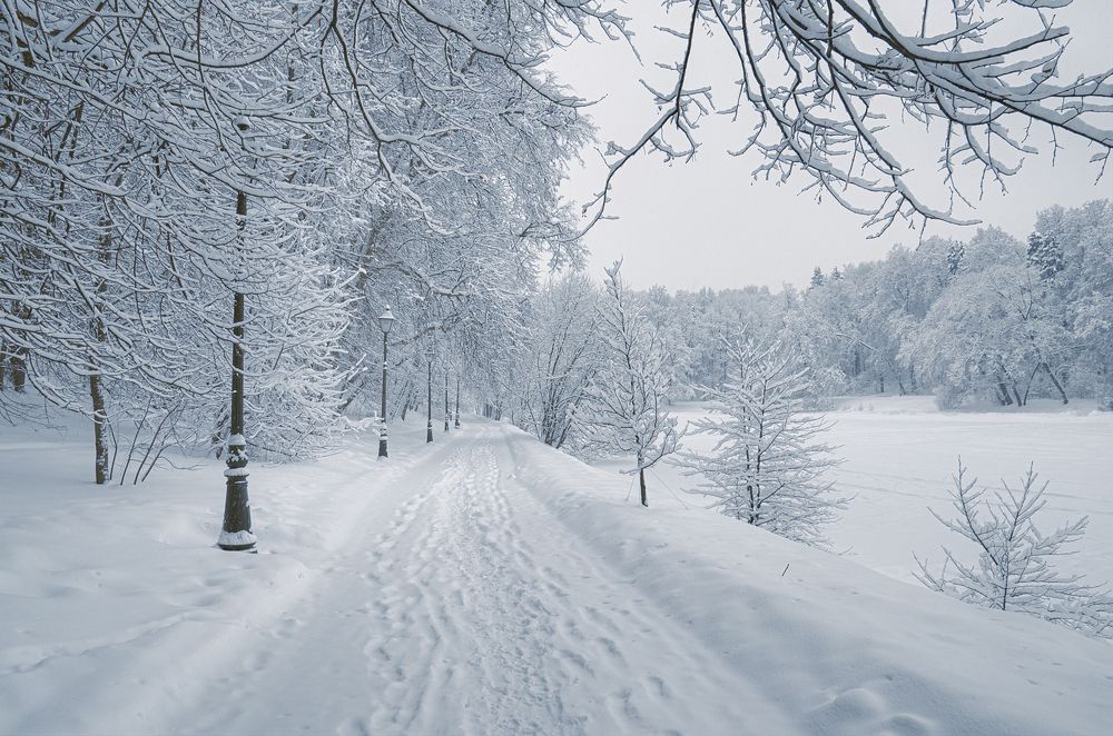 Photograph by Александр Гришин