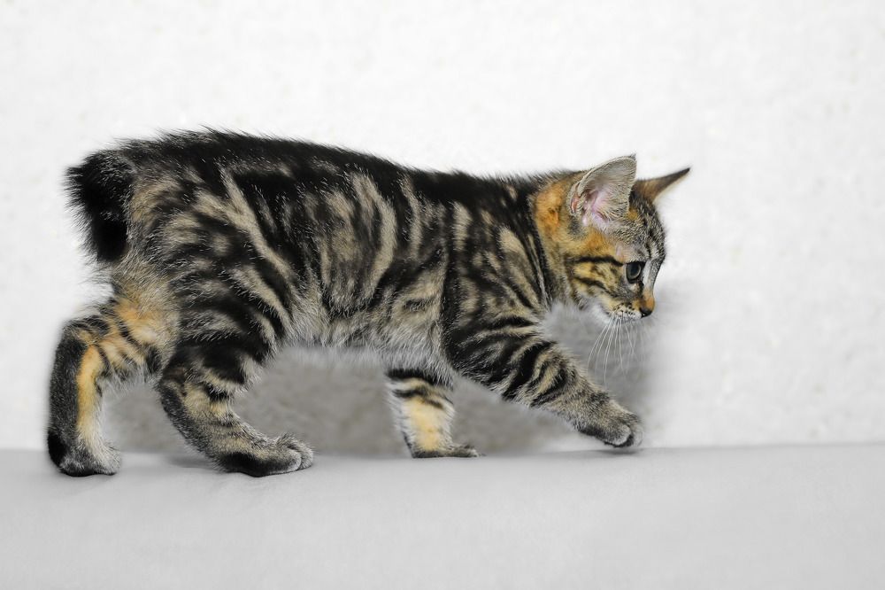 Photograph by Любовь Перевозникова