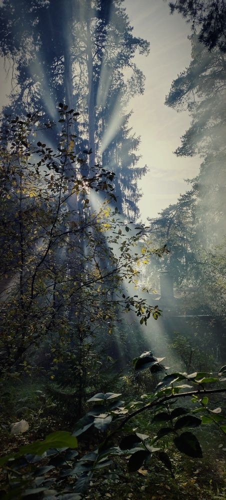 Photograph by Дмитрий Билько