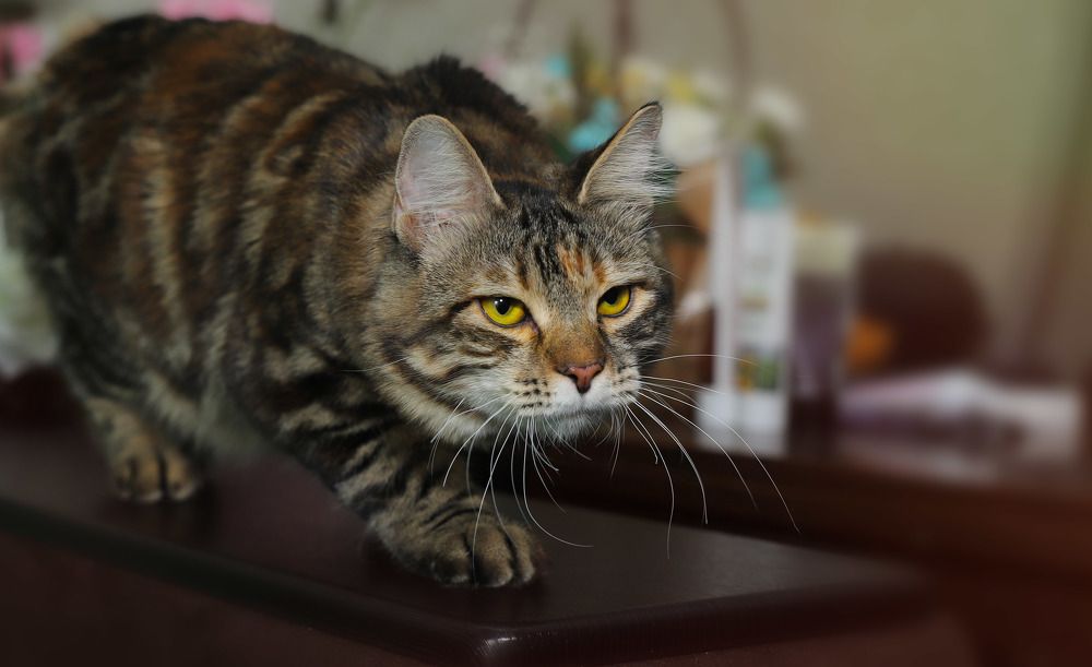 Photograph by Любовь Перевозникова