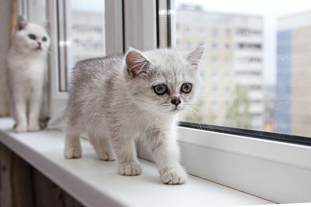 Photograph by Любовь Перевозникова