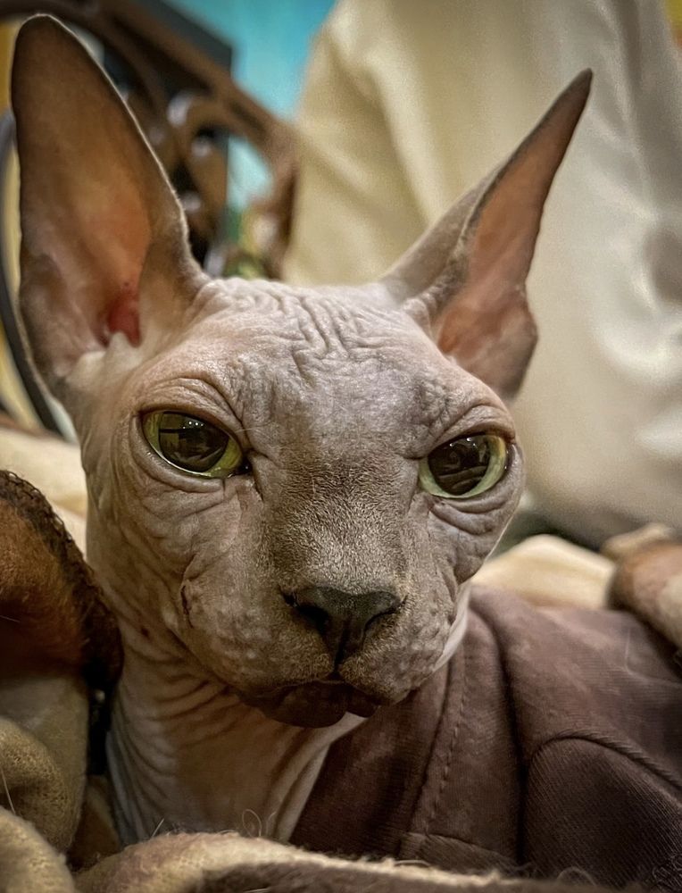 Photograph by Ольга Хентова