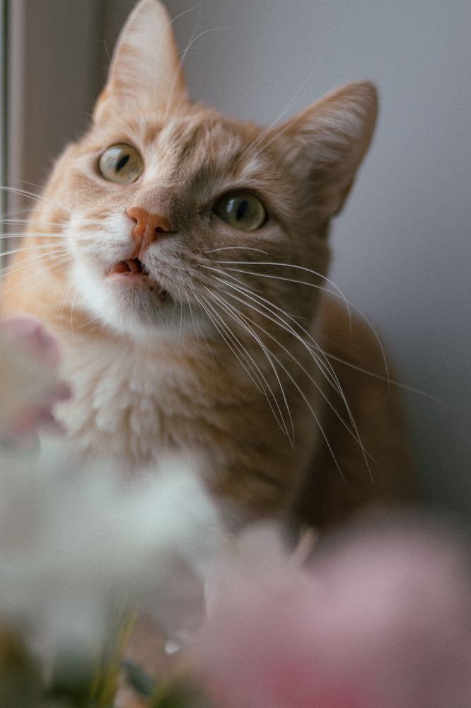 Photograph by Екатерина Алексеева