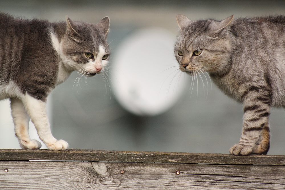 Photograph by Павел Прохоренко