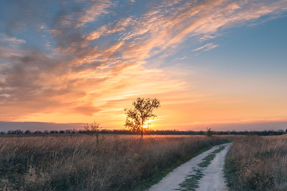 Photograph by Андрей Cоколов