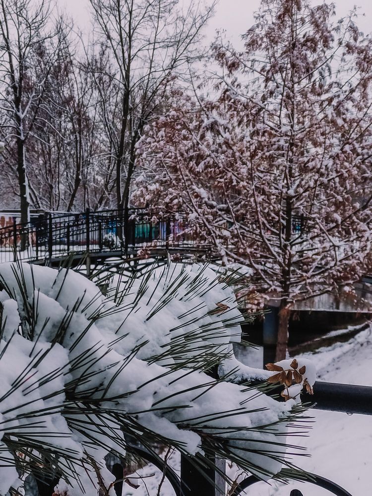 Photograph by PAVEL ARSENOVICH