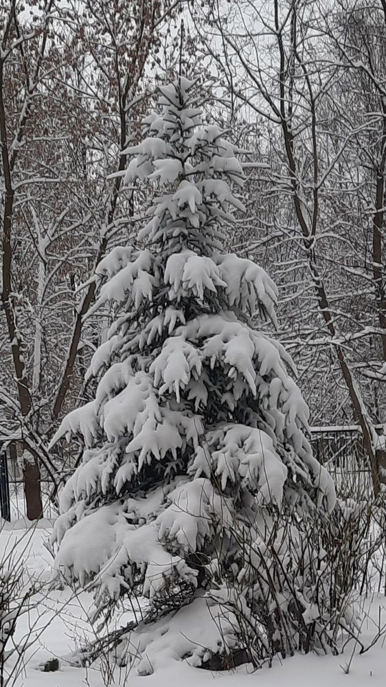 Photograph by Михаил Трусов