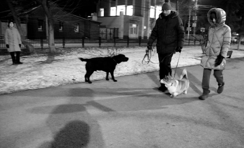 Photograph by Юрий Варюхин