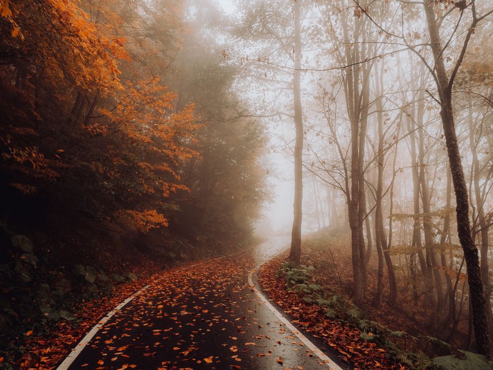 Photograph by Мария Милюхина