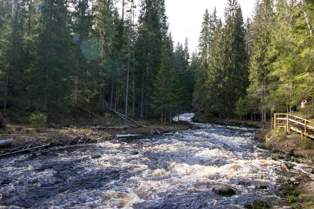 Photograph by Роман Якута