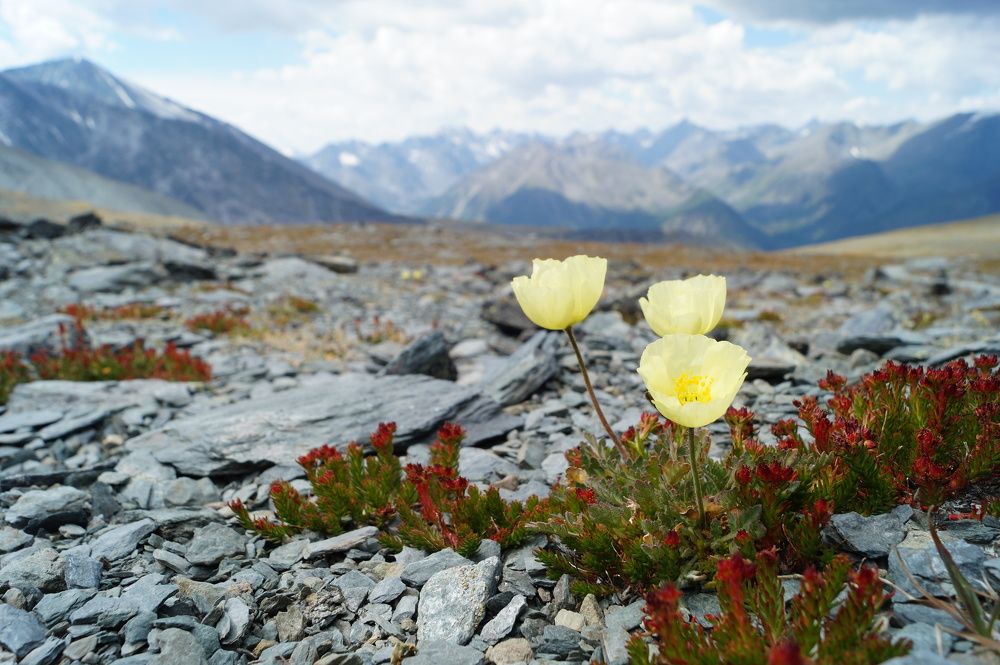 Фотография автора Сергей Камнев