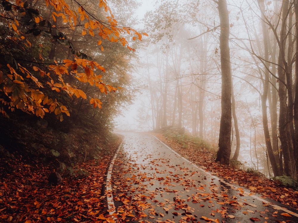 Photograph by Мария Милюхина