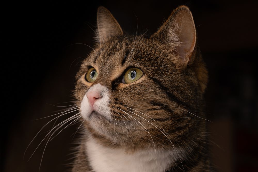 Photograph by Иван Новиков