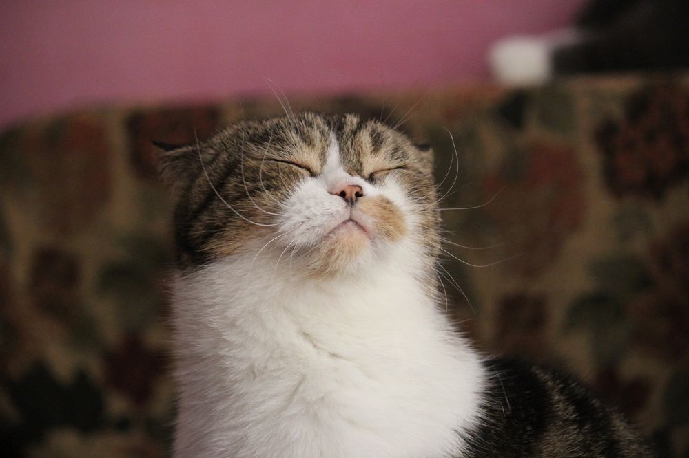 Photograph by Люция Кутлугужина