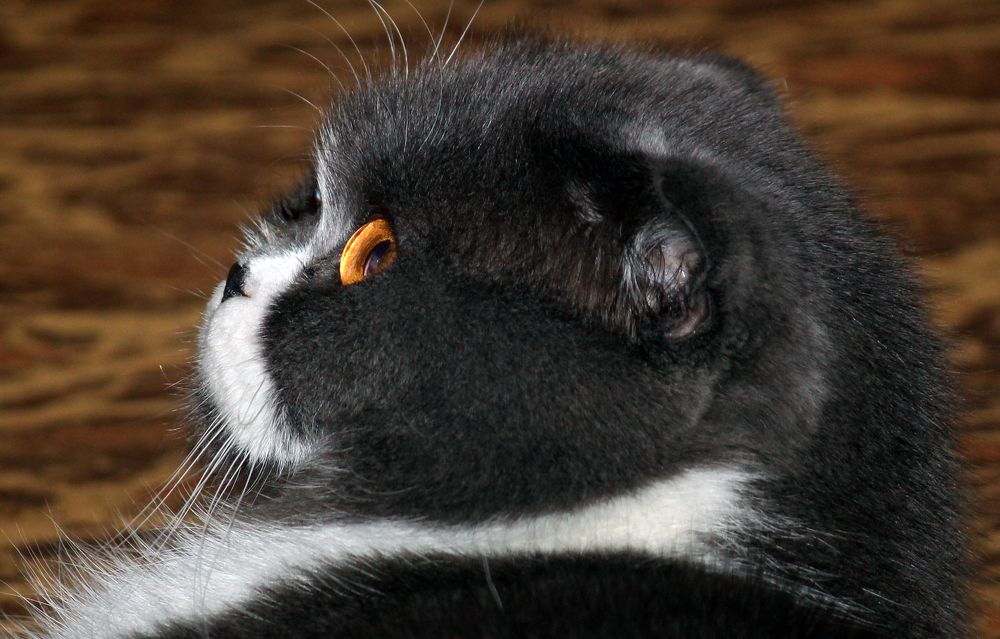 Photograph by Люция Кутлугужина