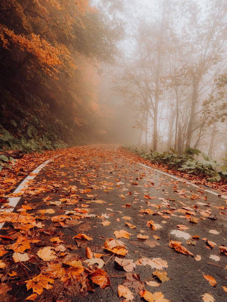 Photograph by Мария Милюхина