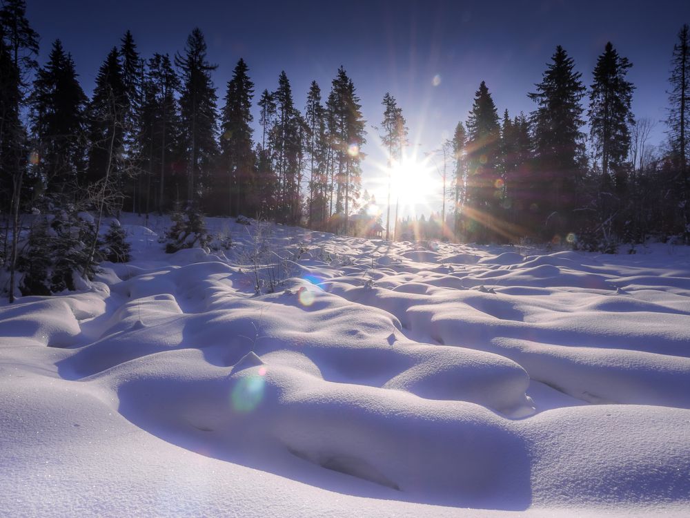 Photograph by Мария Милюхина