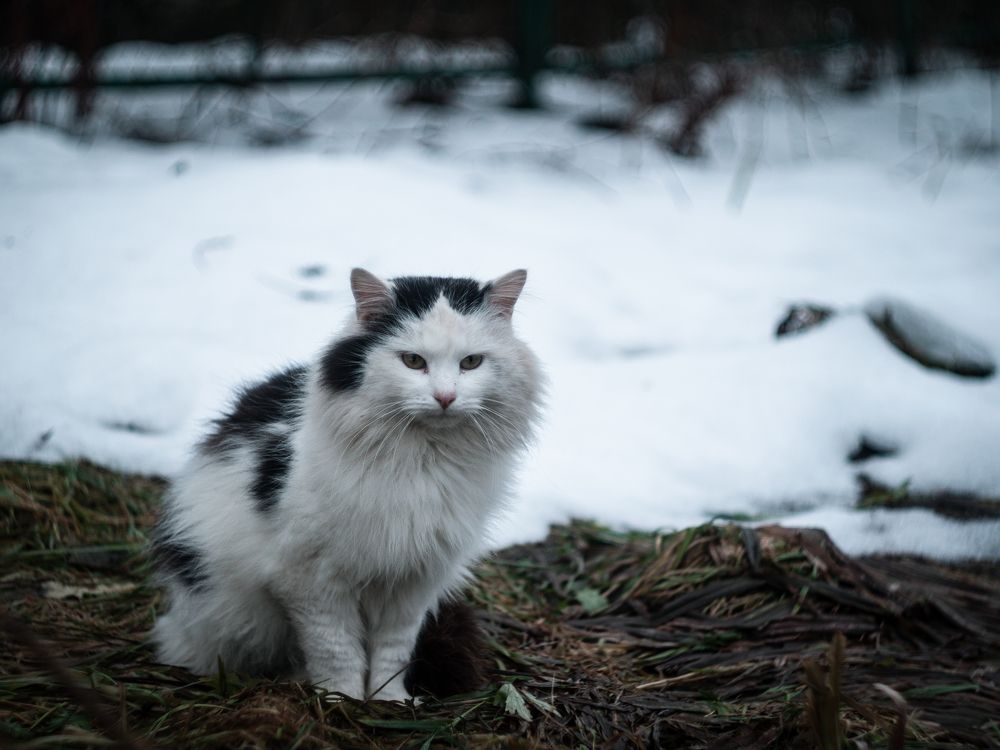 Photograph by z14photo