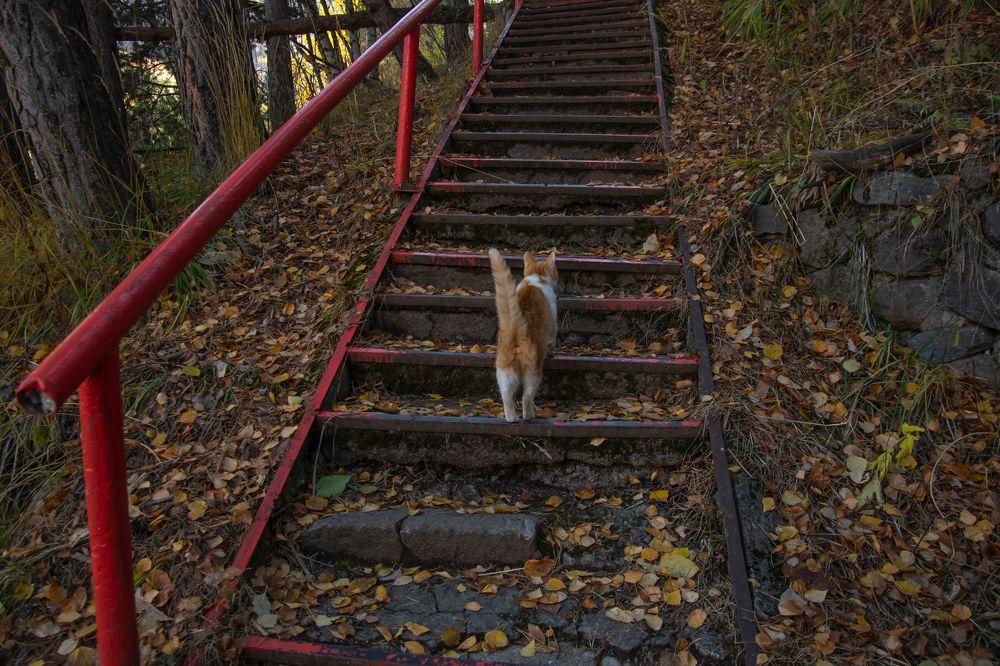 Photograph by Елена Владимировна Локтева