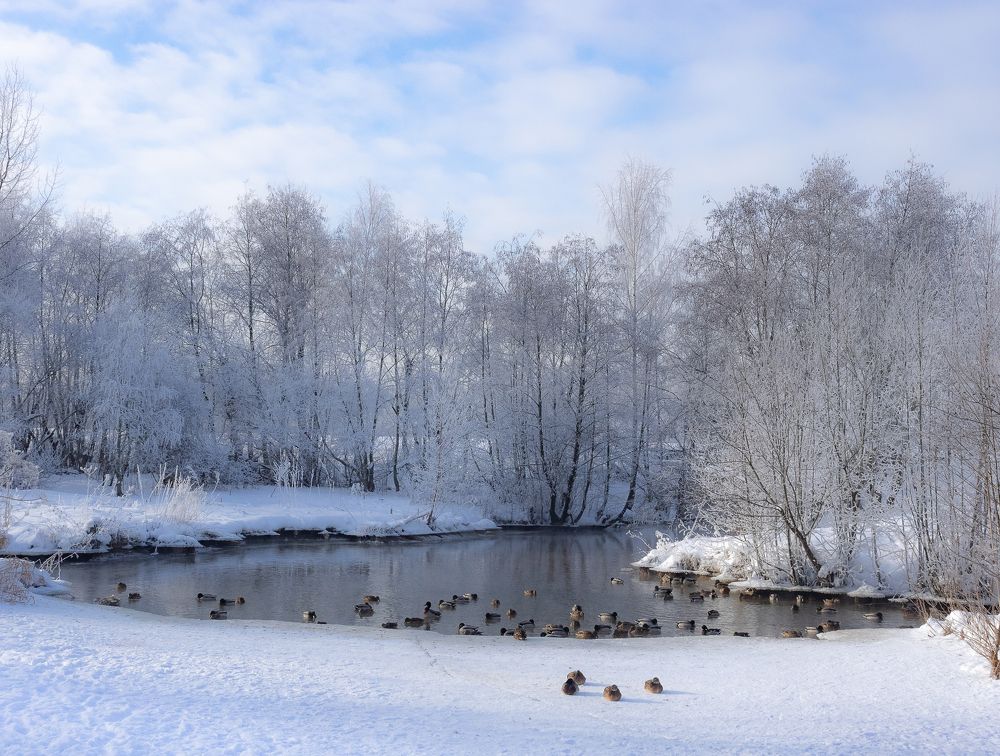 Photograph by Мария Милюхина