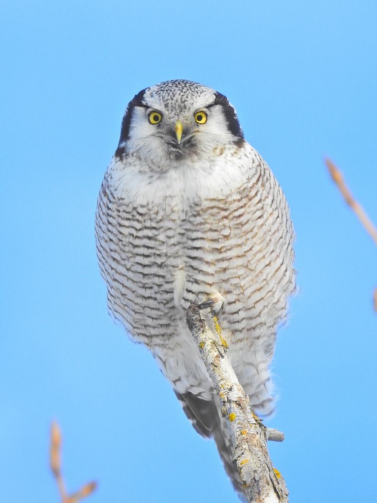 Photograph by Игорь Степанов