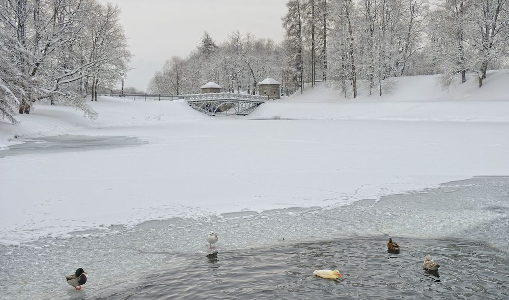 Фотография автора Ольга Виноградова