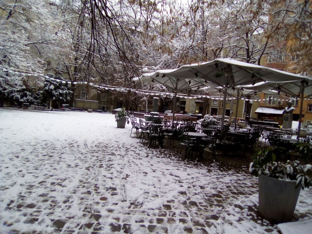 Photograph by Алмерия Монева