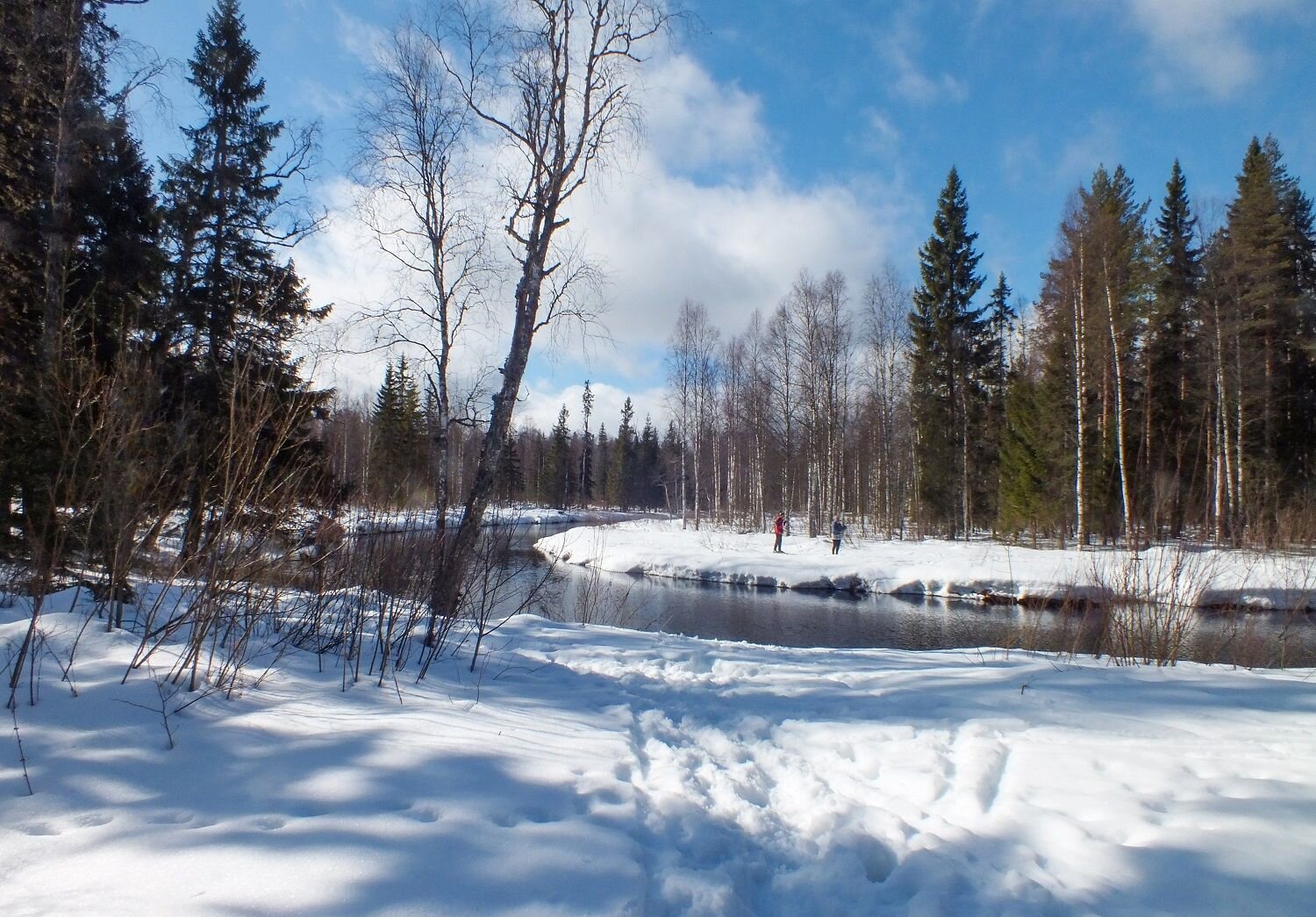 Photo #8738623