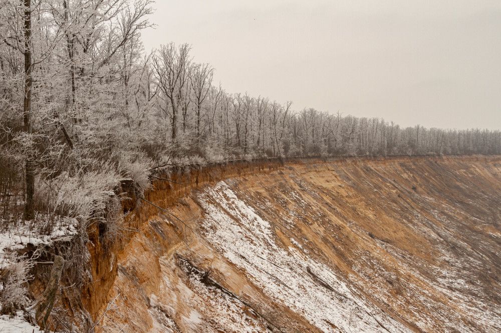 Фотография автора Алексей Тимофеев