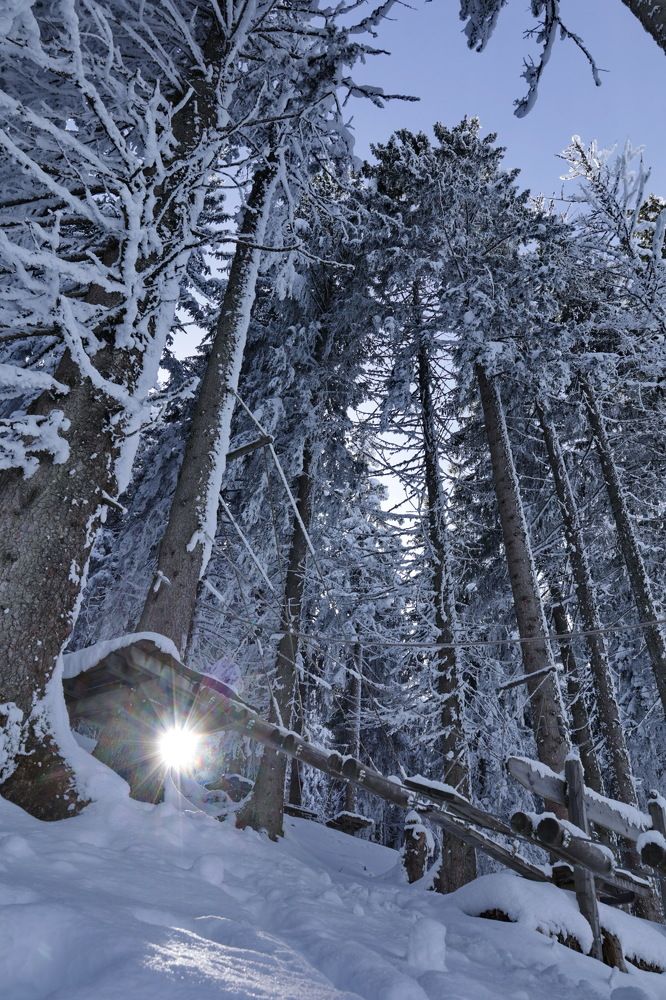 Photograph by Tatiana Serova