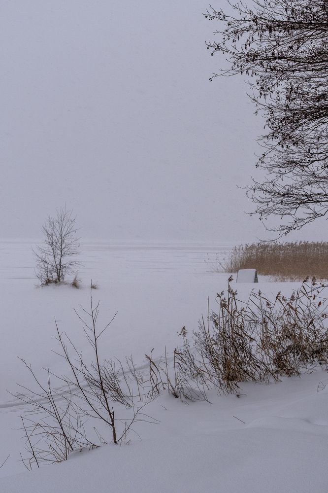 Photograph by Юлия Паршакова