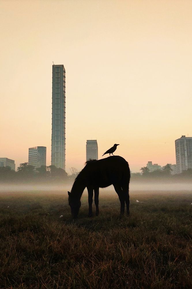 Photograph by Debayan Das